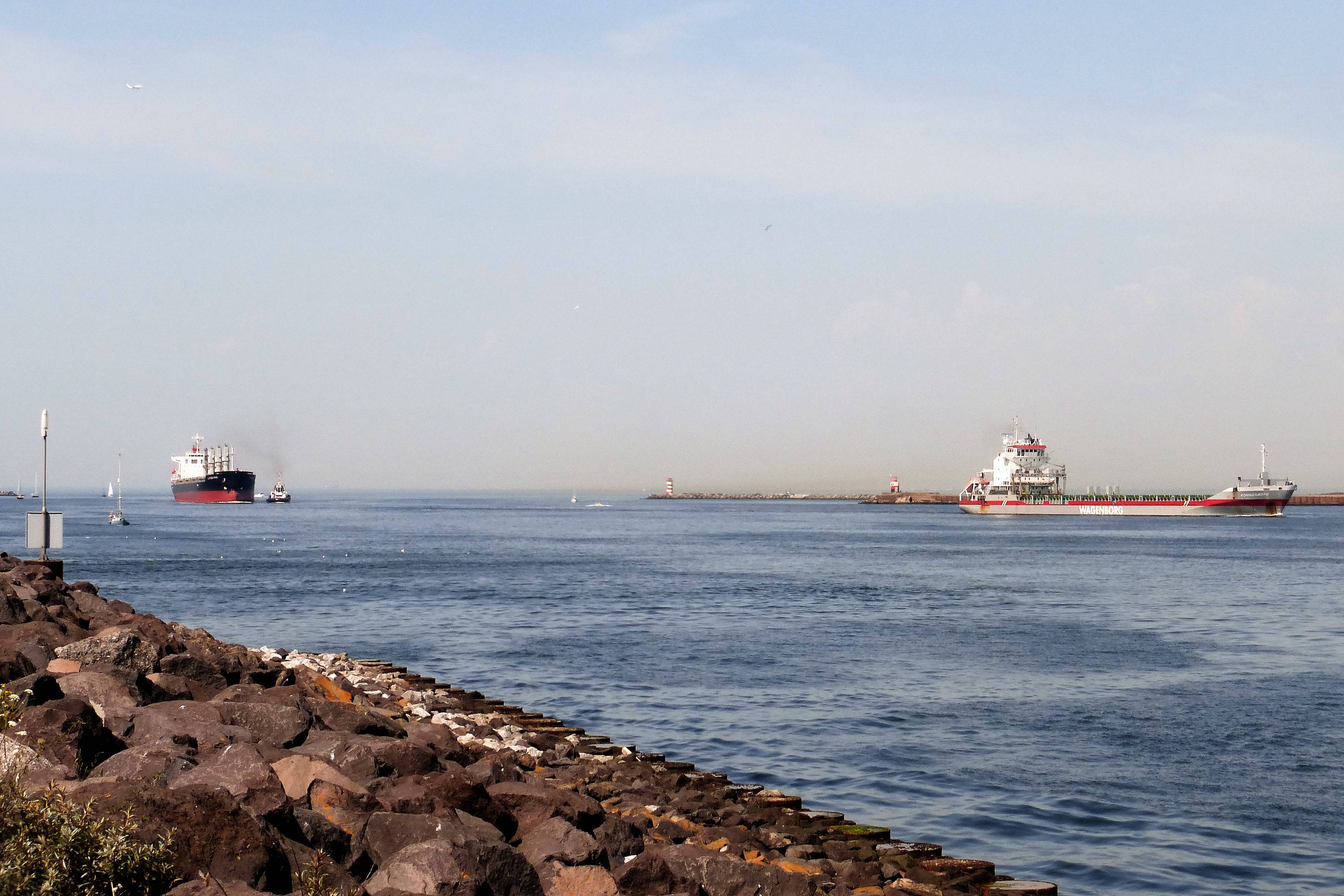 Pieren IJmuiden   24-07-19 